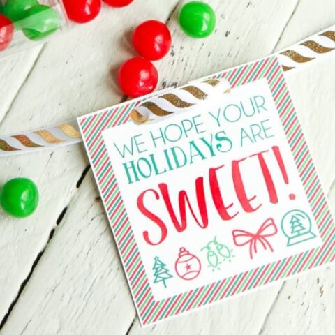 Image for Easy Sweet Holidays DIY Gift Idea