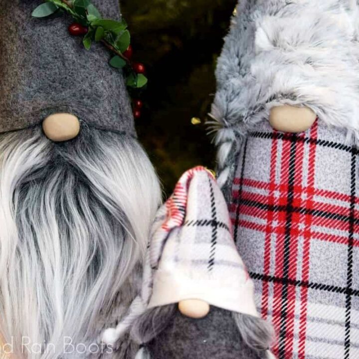 Image for How to Make a Gnome Family in 15 Minutes with a Cone Gnome