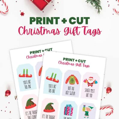 Image for FREE Funny Printable Christmas Gift Tags For Family or Friends
