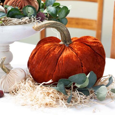 Image for How to Use Velvet Pumpkins in a Thanksgiving Centerpiece
