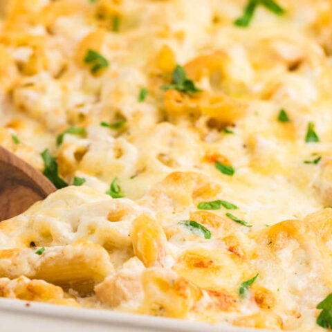 Image for Chicken Alfredo Bake